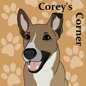 Corey's Corner